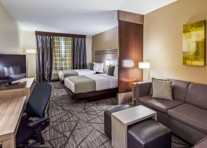 Comfort Inn & Suites Houston I-45 North - Iah